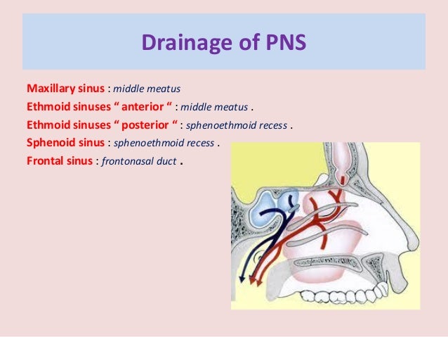 Treatment of Paranasal Sinus and Sinonasal Malignancy